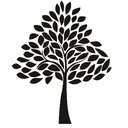 Cedar Pointe Health and Wellness Center company logo