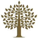 MiraVista company logo