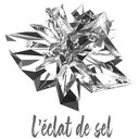 L'éclat de sel company logo