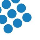 Schleswig-Holstein Netz company logo