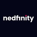 Nedfinity company logo