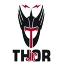 Thor Jr Inc company logo