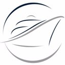 Dreamlines GmbH company logo