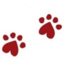 Pawsh company logo