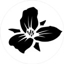 Trillium company logo