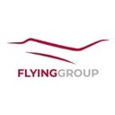 FLYINGGROUP company logo