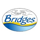 Bridges company logo