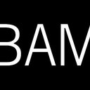 BROOKLYN ACADEMY OF MUSIC INC company logo