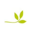 FreshPortal Software company logo