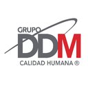 DDM company logo