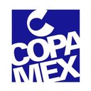 Copamex Corrugados S.A de C.V company logo