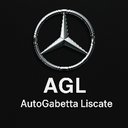 AutoGabetta Liscate Srl company logo