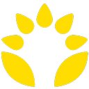 Lifebulb company logo
