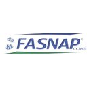 Fasnap Corp company logo