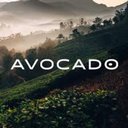 Avocado Mattress LLC company logo