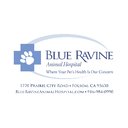 Blue Ravine Animal Hospital company logo