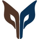 The Wily Network company logo