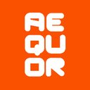 Aequor Sicurezza Srl company logo