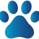 avatar-image