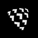 SHIELD AI company logo