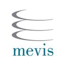 MEVIS SPA company logo