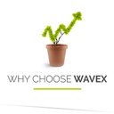 Wavex Technology Ltd company logo