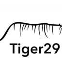 Tiger29 company logo