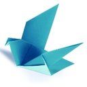 Hospice Buffalo company logo
