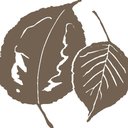 Woodland Hill Montessori School company logo
