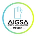 AIGSA MEXICO company logo