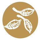 Gräfenhof Tee GmbH company logo