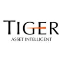 Tiger Capital Group company logo