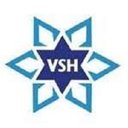 VSH Seguridad Privada company logo