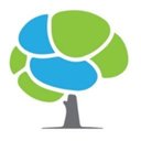 Radius TBI company logo