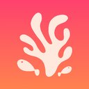 Coral Care company logo