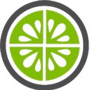 The NS Group company logo