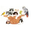 Colonial Manor Animal Hospital company logo