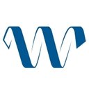 The Wise Group company logo