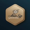 Amir Syr GmbH company logo