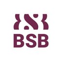 Burgundy School of Business company logo