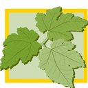 Realty Landscaping company logo