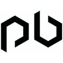 PsiBorg company logo