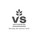 V S Enterprises company logo