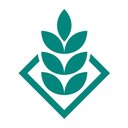 Deutsche Saatveredelung AG company logo