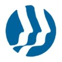 ISI Professional Services company logo