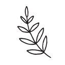 Restoration Hope Counseling and Neurofeedback, PLLC company logo