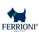 Ferrioni company logo