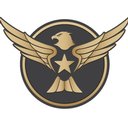 ESI Security Services company logo