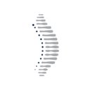 Aligned Family Chiropractic company logo