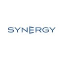 SYNERGY SETTLEMENT SERVICES INC company logo